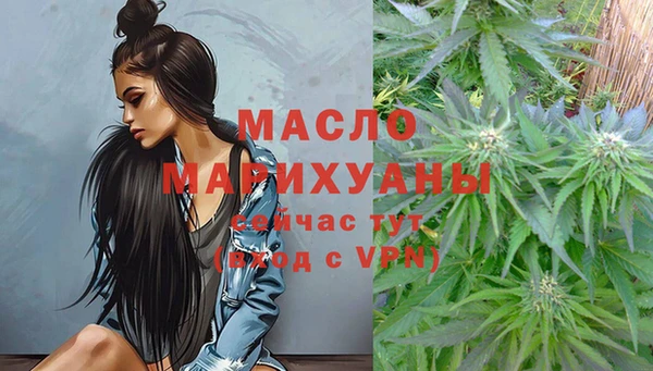 амф Ельня