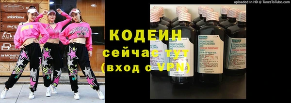 МДПВ Елабуга