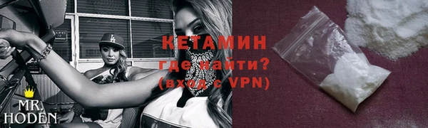амф Ельня