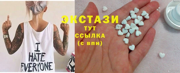 амф Ельня