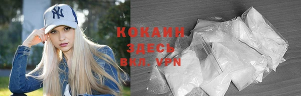 амф Ельня