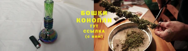 амф Ельня