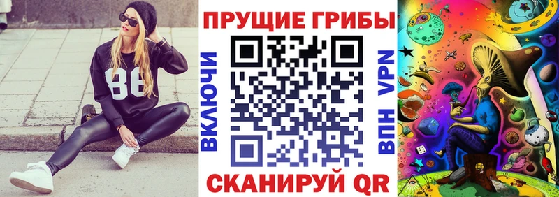 Галлюциногенные грибы Cubensis  Питкяранта 
